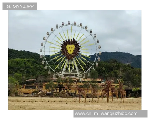 清远VS各大城市的旅游魅力与文化特色深度对比分析